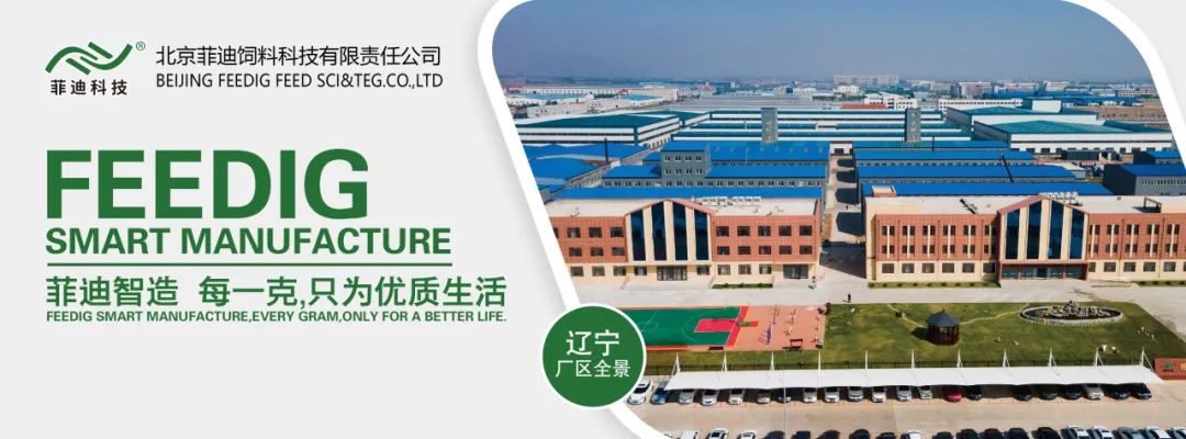 菲迪集团亮相第17届巴西动物营养及饲料工业展，向巴西畜牧同仁展现中国动物营养的创新智造！-第2张图片