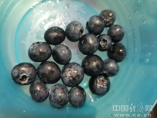 蓝莓降价！“以前论克卖，现在按斤卖”-第1张图片