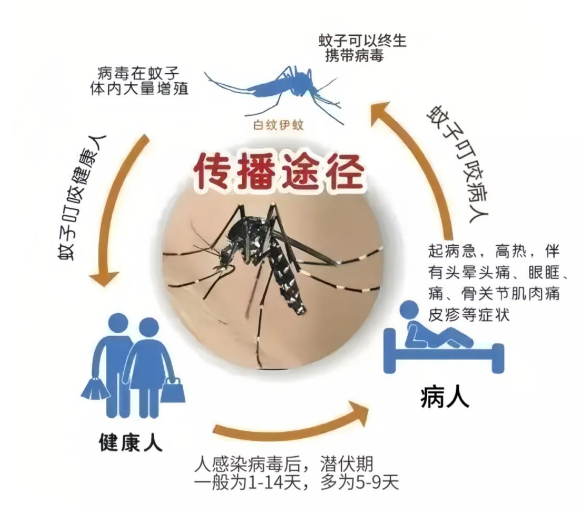 最新“蚊子地图”发布，涉及广州22个镇街-第2张图片