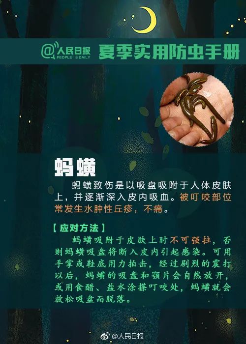 最新“蚊子地图”发布，涉及广州22个镇街-第5张图片
