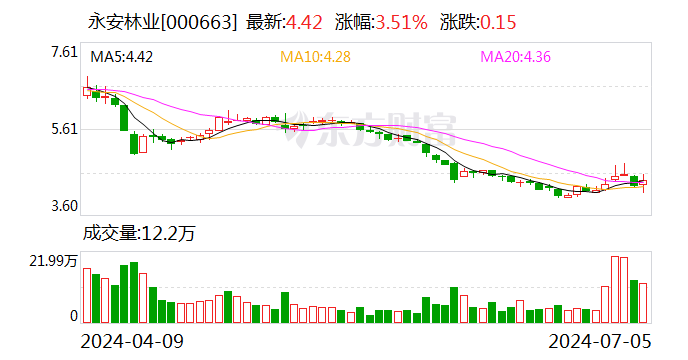 永安林业独董辞职两月前投弃权票 两位候补人选尚无独董资格证书-第1张图片
