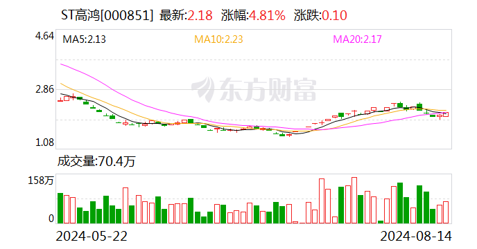 ST高鸿：公司主要银行账号被冻结 股票被叠加实施其他风险警示-第1张图片