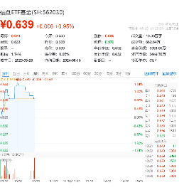 谁是中国AI算力服务的“自如”？京北方一字涨停封板，信创ETF基金（562030）盘中上探1.74%-第2张图片