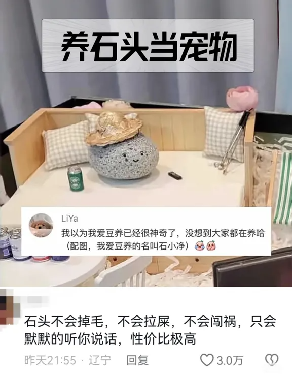 突然火了，暴增246%！有店主月入过万，年轻人扎堆买……-第10张图片