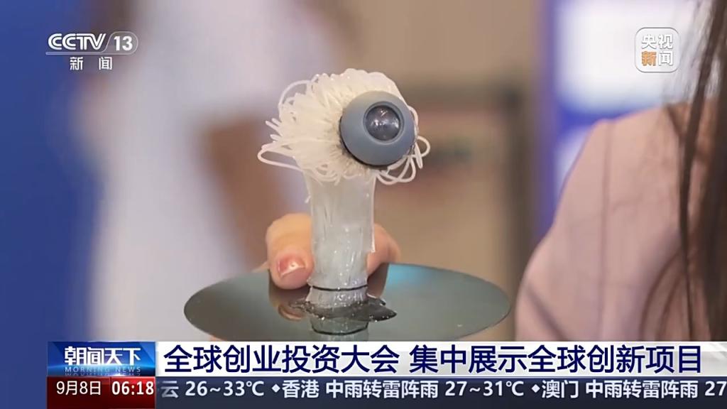 全球首个3D仿生眼成像有多逼真？来这个论坛一探究竟-第3张图片
