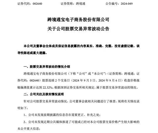昔日跨境电商一哥 为何还不起800万元？-第2张图片