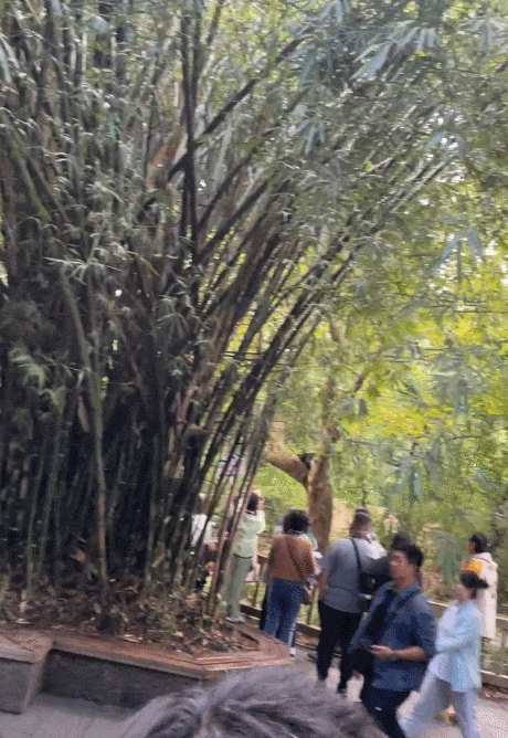 “人从众”！多地紧急提醒！铁路、公路、民航迎客流高峰-第9张图片
