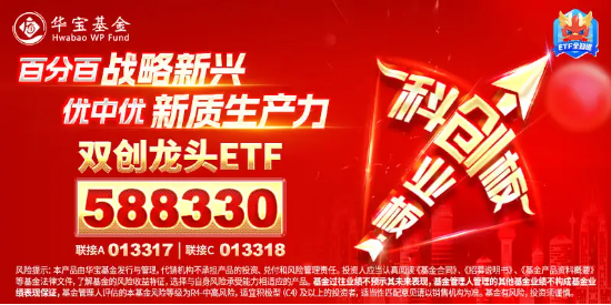 主力资金大举加码权重板块，双创龙头ETF（588330）封死涨停板，标的指数近9成成份股涨超10%！-第5张图片