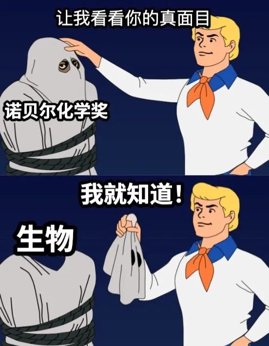我是万没想到 诺贝尔化学奖也给了程序员-第16张图片