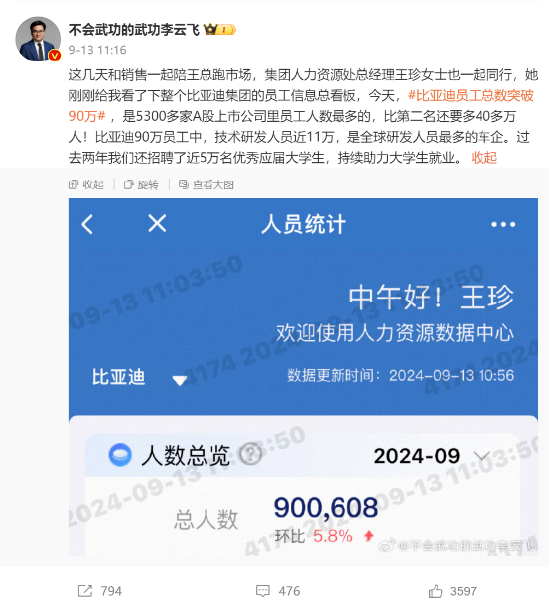 半年研发砸202亿，谁说比亚迪靠“人海战术”？-第1张图片