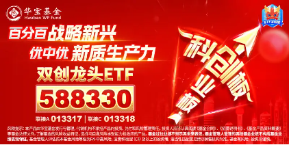 刚刚！英特尔回应！网络安全受关注，国产CPU厂商领涨，双创龙头ETF（588330）盘中涨逾2%-第4张图片
