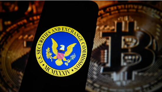 FBI逮捕涉嫌攻击SEC的X账户致比特币飙涨的黑客-第1张图片
