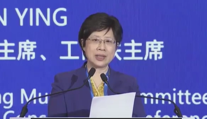 北京市政协副主席燕瑛：北京民营经济市场主体208万家 吸纳了六成左右的就业-第1张图片