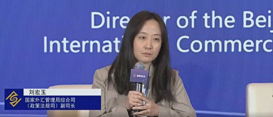 便利化政策推动涉外经济发展 国家外汇管理局刘宏玉：企业办理业务速度可从1-2天缩短至15-20分钟-第1张图片