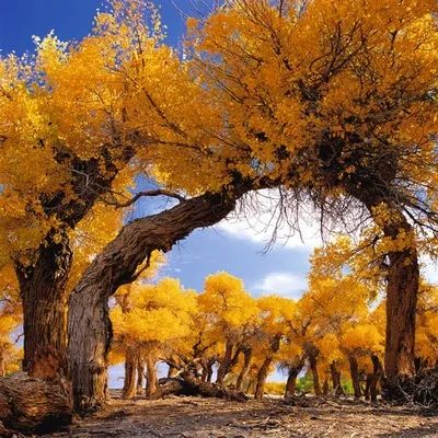 降息在即，钢价何去何从！-第2张图片
