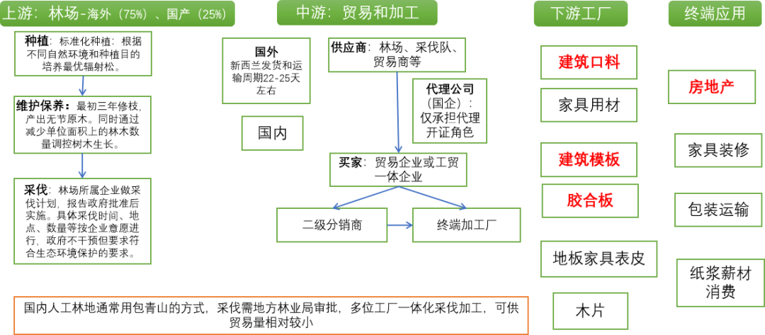 品种上新：原木介绍-第7张图片