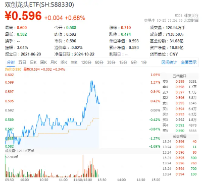 光伏崛起！大全能源盘中触板，A股成长型宽基“小霸王”——双创龙头ETF（588330）一度上探1．35%-第2张图片