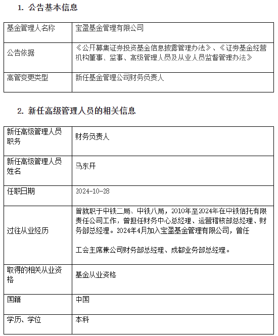 宝盈基金新任马东开为财务负责人-第1张图片