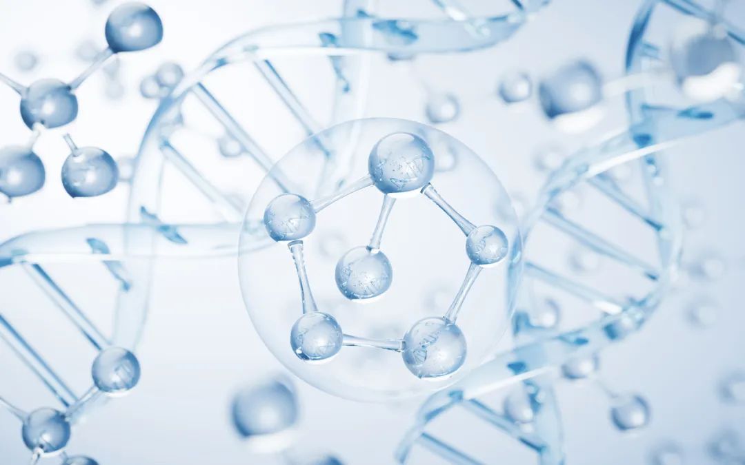 被质疑“贱卖资产”，信达生物大跌-第1张图片