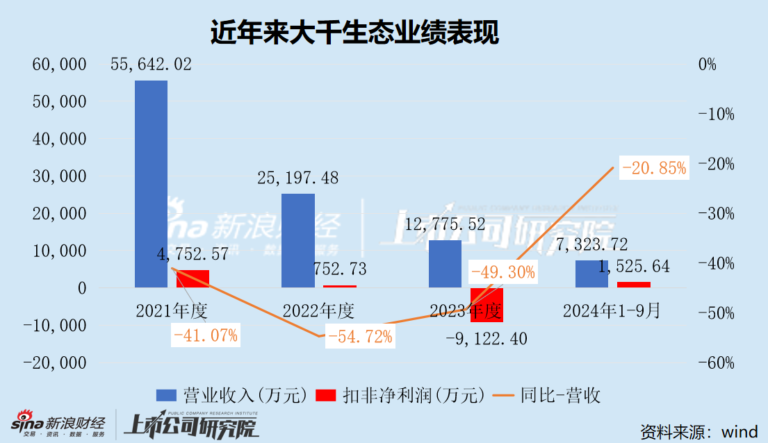 大千生态财务状况已逼近退市红线 步步高系新实控人能否成为“救世主”-第2张图片