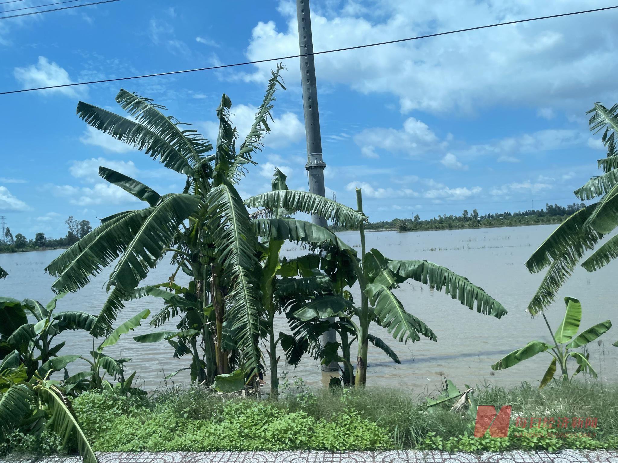 中国垃圾焚烧发电产业“出海”越南：本地化趋势明显，当地员工超九成-第2张图片