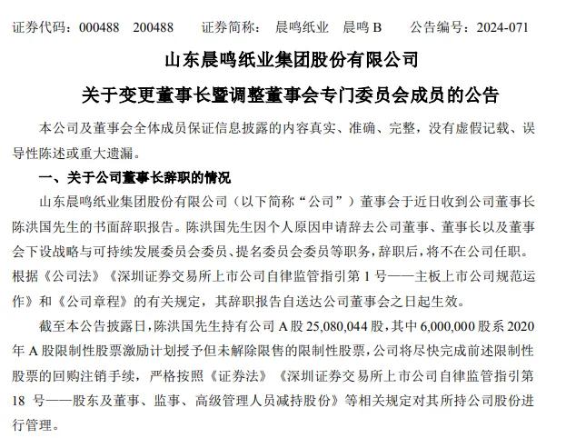 国内最大造纸企业之一突发公告！晨鸣纸业董事长夫妇同时辞职-第1张图片
