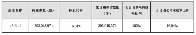 大股东持股遭八次轮候冻结，岭南股份流动性危机何解-第1张图片