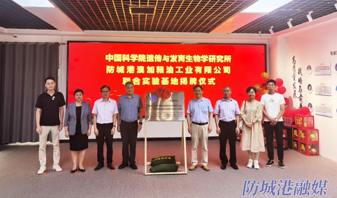 科技自立筑基石 创新发展铸未来——科技创新为现代化临港工业城市插上“翅膀”-第6张图片