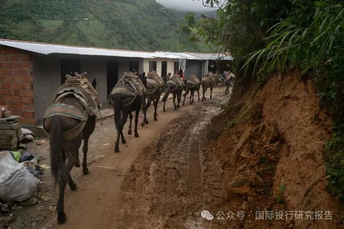 紫金矿业被贩毒集团掠夺3.2吨黄金 价值约2亿美元-第6张图片