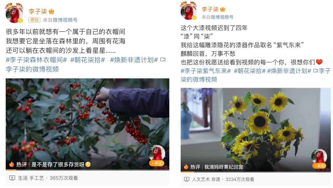 李子柒，一夜涨粉380万-第2张图片