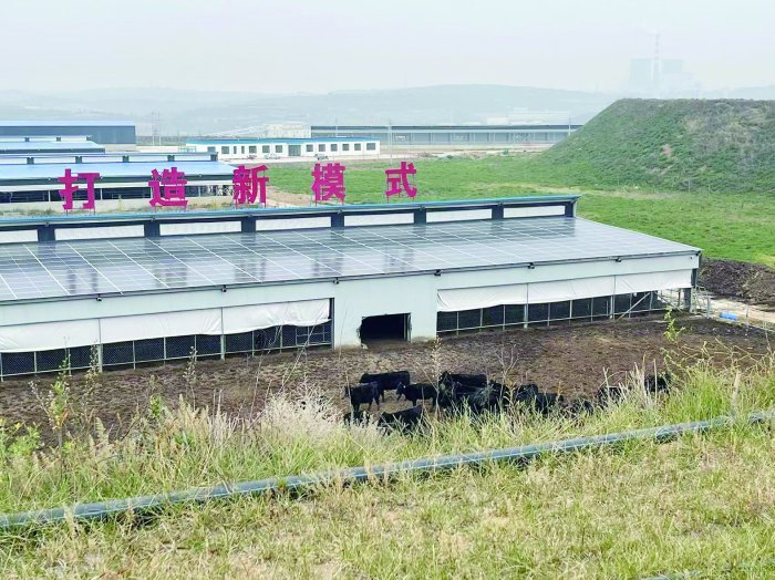 内蒙华电：传统煤电行稳向新-第2张图片