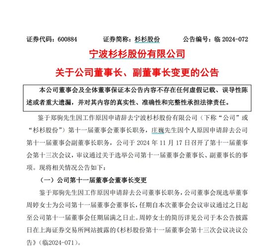 660亿“杉杉系”换了女掌门-第1张图片