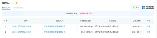660亿“杉杉系”换了女掌门-第5张图片