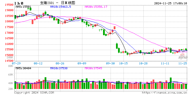 11月25日猪价汇总（涨势收窄，明日猪价或有变！）-第2张图片