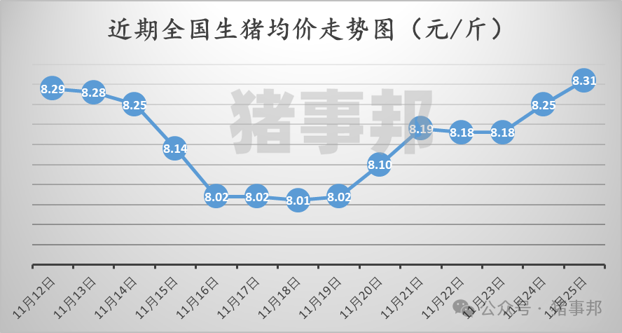 11月25日猪价汇总（涨势收窄，明日猪价或有变！）-第3张图片