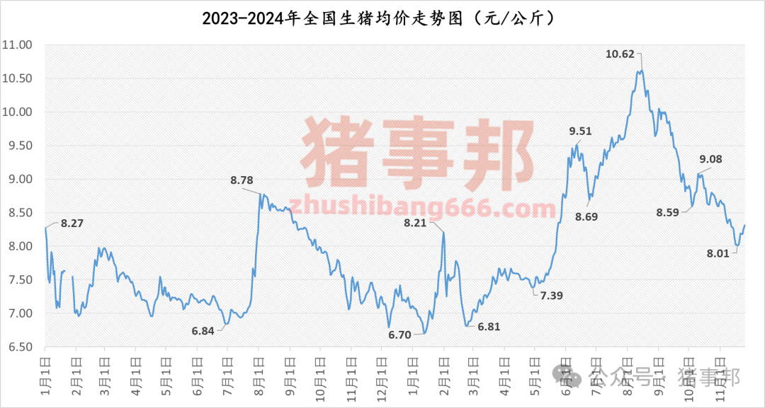 11月25日猪价汇总（涨势收窄，明日猪价或有变！）-第4张图片