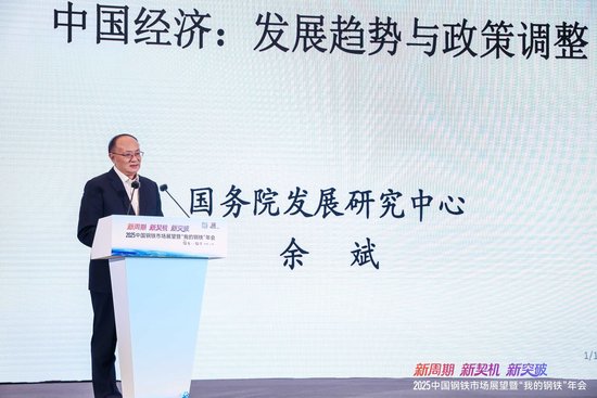 2025中国钢铁市场展望暨“我的钢铁”年会干货汇总-第2张图片