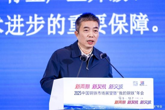 2025中国钢铁市场展望暨“我的钢铁”年会干货汇总-第5张图片