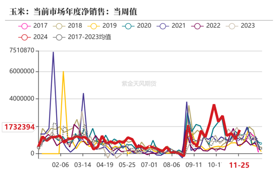 玉米：静待花开-第3张图片