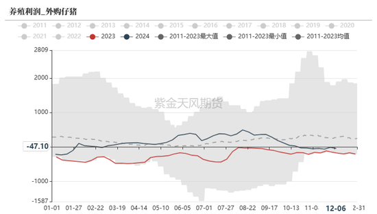 玉米：静待花开-第37张图片