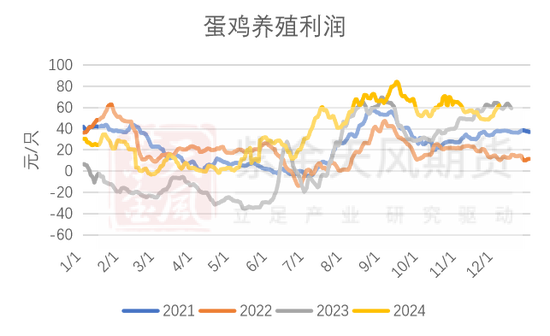 玉米：静待花开-第41张图片