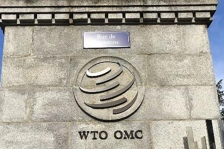 世贸组织：2024年第四季度全球货物贸易温和增长-第1张图片