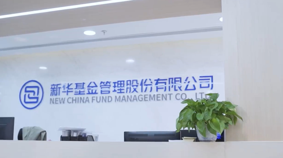 新华基金“换血”过冬-第1张图片