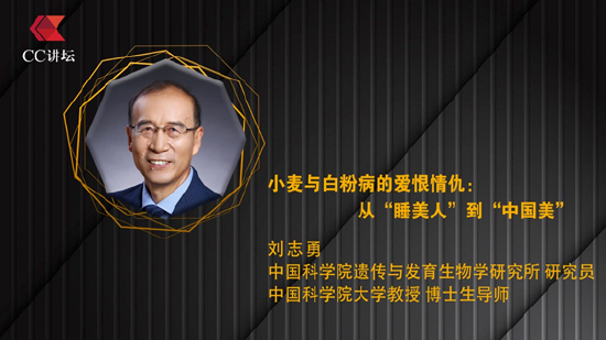 刘志勇：小麦与白粉病的爱恨情仇：从“睡美人”到“中国美”-第1张图片