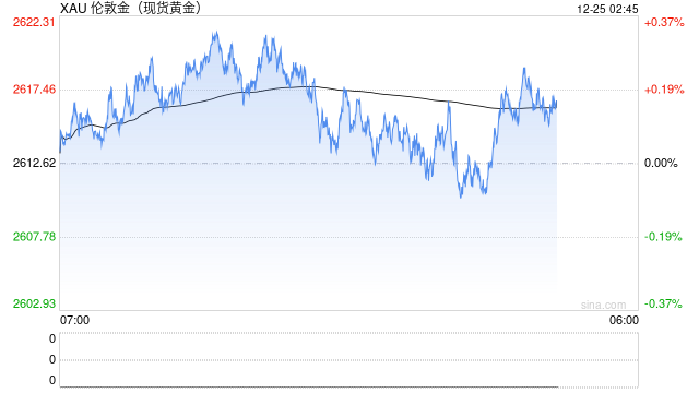 2025年黄金可能面临坎坷，但仍有望涨向3000美元-第1张图片