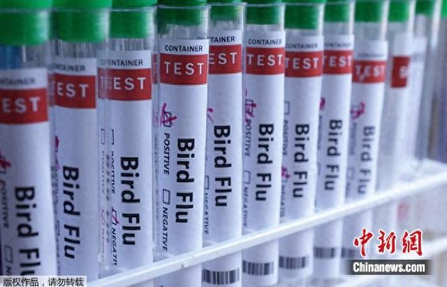 美疾控中心：感染人类的禽流感病毒出现基因突变-第1张图片