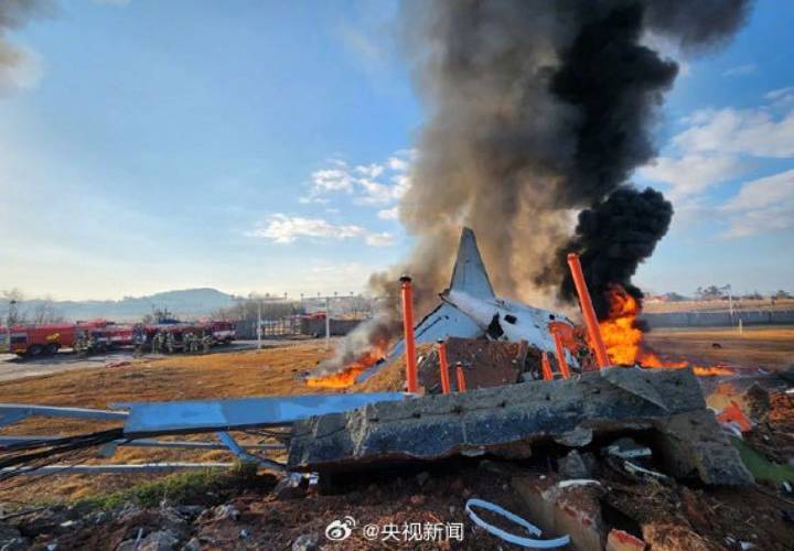 韩官方否认客机事故系机场跑道长度不足所致 飞鸟撞机到底有多危险？-第1张图片