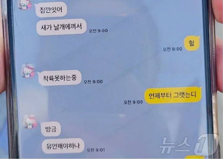 韩官方否认客机事故系机场跑道长度不足所致 飞鸟撞机到底有多危险？-第2张图片