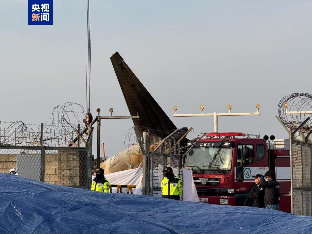 仅2人获救 韩客机失事前6分钟详情公布 幸存者问：发生了什么？-第1张图片