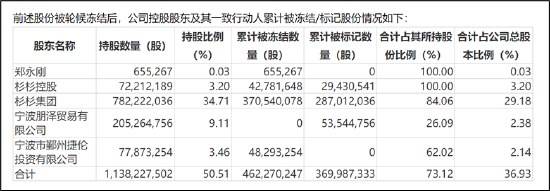 杉杉股份控股权是否稳？遭控股股东债务危机冲击 曾被大股东掏空资金链疑也不乐观-第3张图片